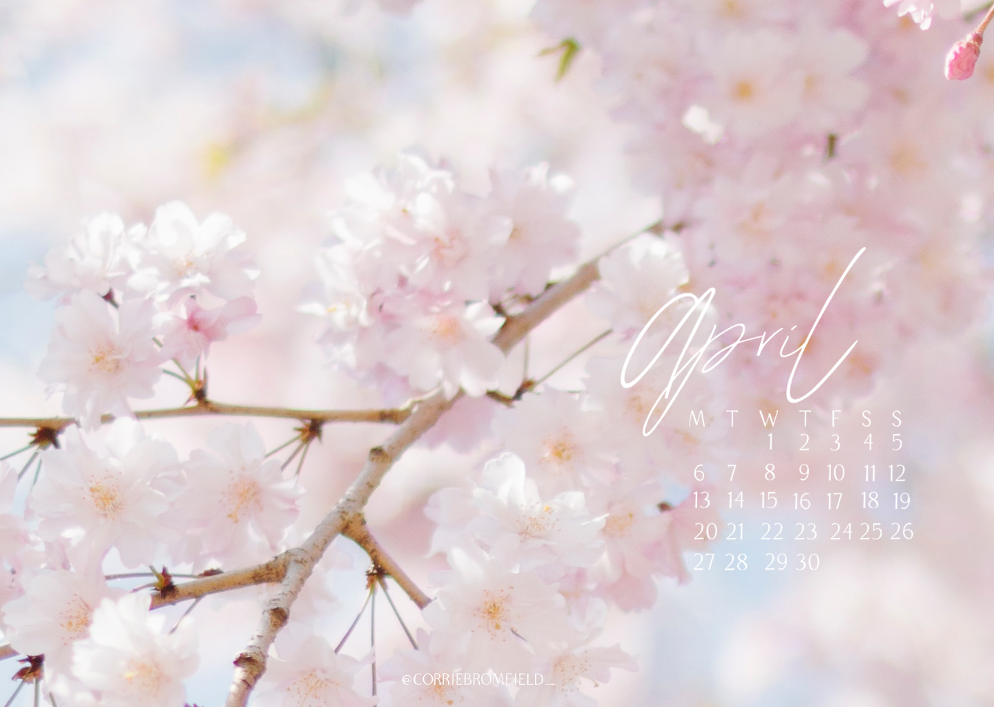 free desktop wallpaper spring flowers